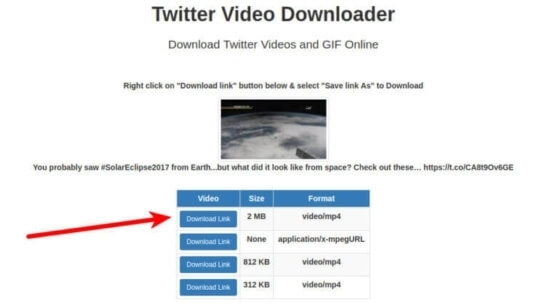 Download Button of Twitter video